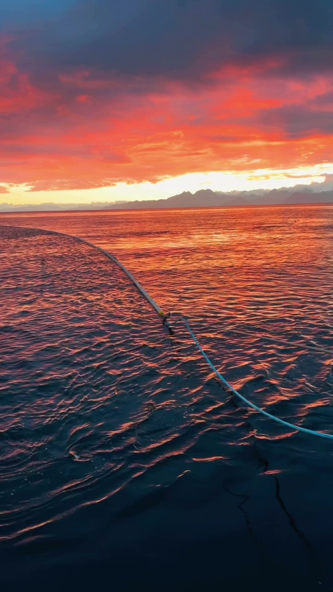 Cork line of a salmon seine arcing across calm water under a red Alaskan sunset